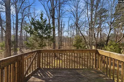 321 Delaine Woods Drive, Irmo, SC 29063 - Photo 41