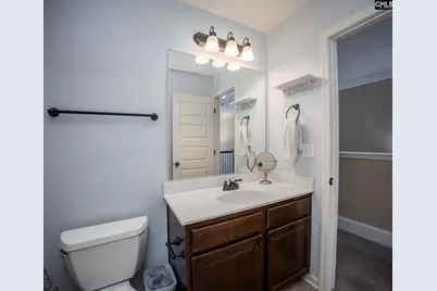 219 Pink Camellia Drive, Lexington, SC 29072 - Photo 41