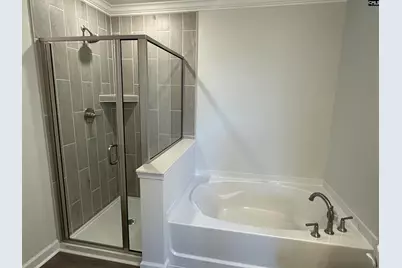 419 Rising Stream Way, Chapin, SC 29036 - Photo 9