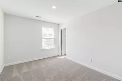 419 Rising Stream Way, Chapin, SC 29036 - Photo 29