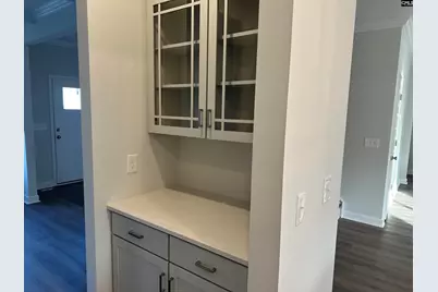 419 Rising Stream Way, Chapin, SC 29036 - Photo 5