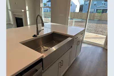 419 Rising Stream Way, Chapin, SC 29036 - Photo 3