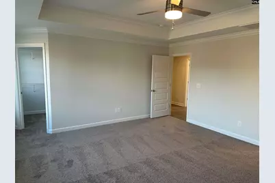 419 Rising Stream Way, Chapin, SC 29036 - Photo 7
