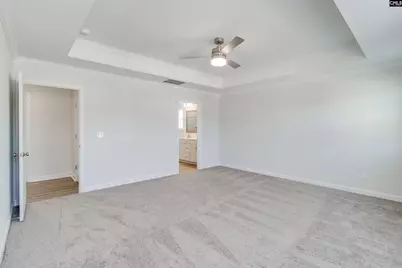 419 Rising Stream Way, Chapin, SC 29036 - Photo 19