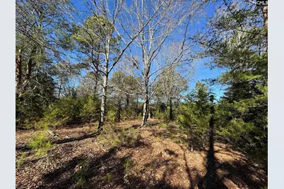 Hwy 252, Laurens, SC 29360 - Photo 21