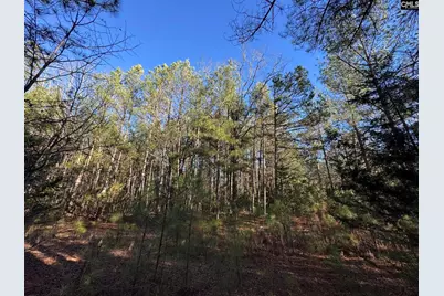 Hwy 252, Laurens, SC 29360 - Photo 17