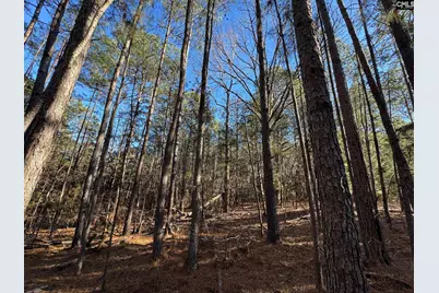 Hwy 252, Laurens, SC 29360 - Photo 35