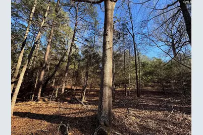 Hwy 252, Laurens, SC 29360 - Photo 33