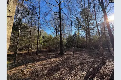 Hwy 252, Laurens, SC 29360 - Photo 29