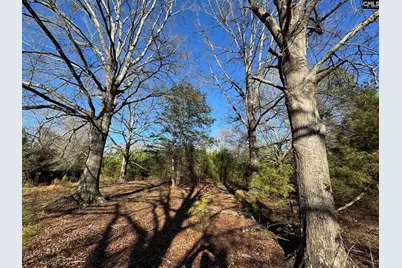 Hwy 252, Laurens, SC 29360 - Photo 3