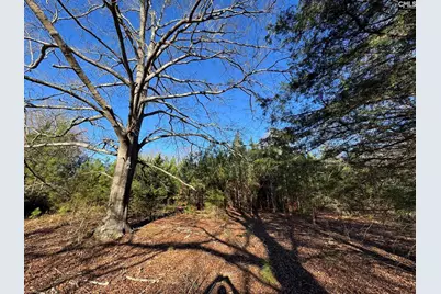 Hwy 252, Laurens, SC 29360 - Photo 5