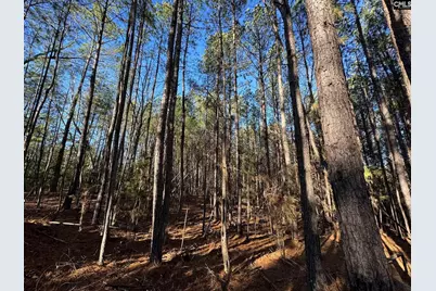 Hwy 252, Laurens, SC 29360 - Photo 31