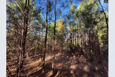 Hwy 252, Laurens, SC 29360 - Photo 49