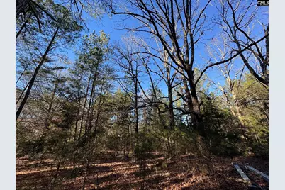 Hwy 252, Laurens, SC 29360 - Photo 11