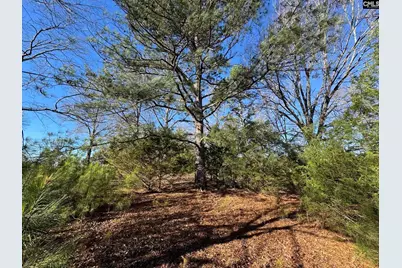 Hwy 252, Laurens, SC 29360 - Photo 15