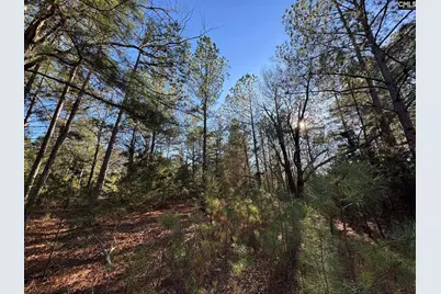 Hwy 252, Laurens, SC 29360 - Photo 9