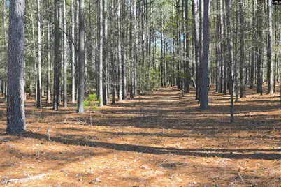 707 Mt Ebal Road, Batesburg, SC 29006 - Photo 13