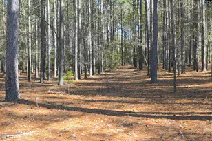 707 Mt Ebal Rd, Batesburg, SC 29006 - Photo 13