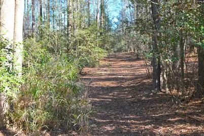 707 Mt Ebal Road, Batesburg, SC 29006 - Photo 11