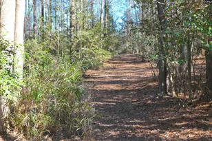 707 Mt Ebal Rd, Batesburg, SC 29006 - Photo 11