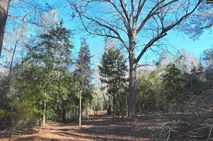 707 Mt Ebal Rd, Batesburg, SC 29006 - Photo 7