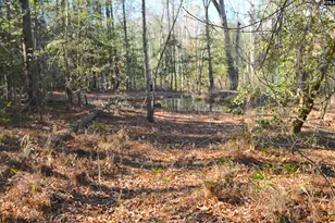 707 Mt Ebal Rd, Batesburg, SC 29006 - Photo 9