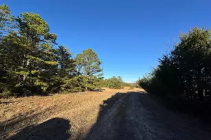 150 Floyd Lanford Rd, Woodruff, SC 29388 - Photo 3