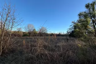 150 Floyd Lanford Rd, Woodruff, SC 29388 - Photo 57