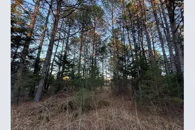 150 Floyd Lanford Road, Woodruff, SC 29388 - Photo 39