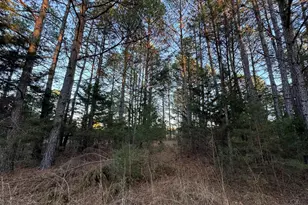 150 Floyd Lanford Rd, Woodruff, SC 29388 - Photo 39