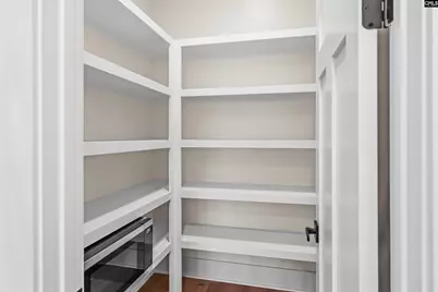 811 Elms Spinney Lane, Chapin, SC 29036 - Photo 9