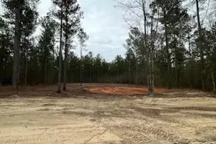07B Otis Baughman S R Rd, Wagener, SC 29164 - Photo 1