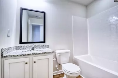 145 Silver Run Place, West Columbia, SC 29169 - Photo 13