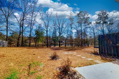 145 Silver Run Place, West Columbia, SC 29169 - Photo 13