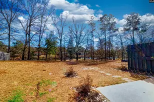 145 Silver Run Pl, West Columbia, SC 29169 - Photo 15