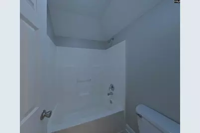 167 Tanners Mill Road, Chapin, SC 29036 - Photo 15