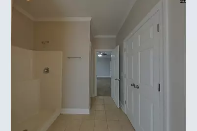 167 Tanners Mill Road, Chapin, SC 29036 - Photo 9