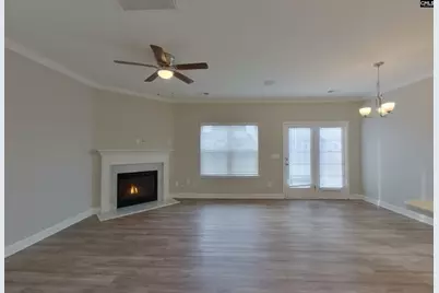 1138 Bergenfield Lane, Chapin, SC 29036 - Photo 3
