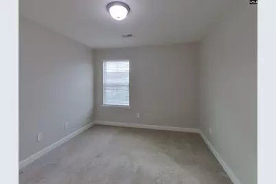 1138 Bergenfield Lane, Chapin, SC 29036 - Photo 15