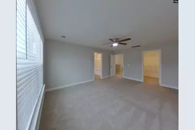 1138 Bergenfield Lane, Chapin, SC 29036 - Photo 7