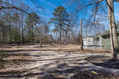 113 Patricia Ave, Pelion, SC 29123 - Photo 15