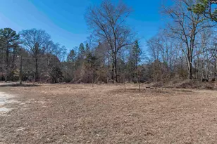 113 Patricia Ave, Pelion, SC 29123 - Photo 7