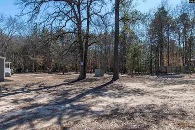 113 Patricia Ave, Pelion, SC 29123 - Photo 9