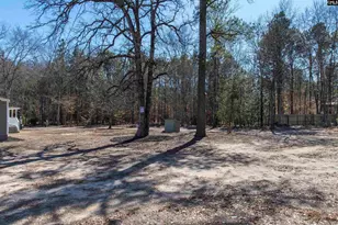 113 Patricia Ave, Pelion, SC 29123 - Photo 9