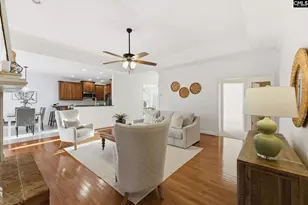 203 Savannah Branch Trail, Irmo, SC 29063 - Photo 11