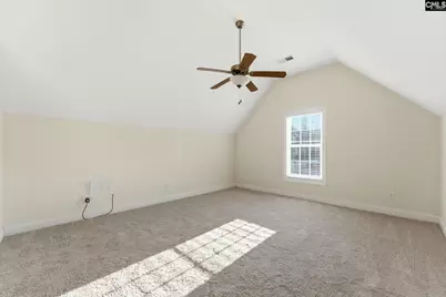 203 Savannah Branch Trail, Irmo, SC 29063 - Photo 31