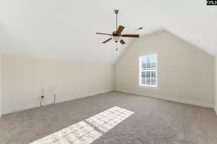 203 Savannah Branch Trail, Irmo, SC 29063 - Photo 31