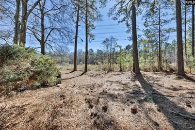 29A Battery Walk Court, Columbia, SC 29212 - Photo 31