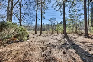 29A Battery Walk Ct, Columbia, SC 29212 - Photo 31