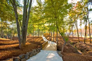 1008 Manarola Rd, Lexington, SC 29072 - Photo 53